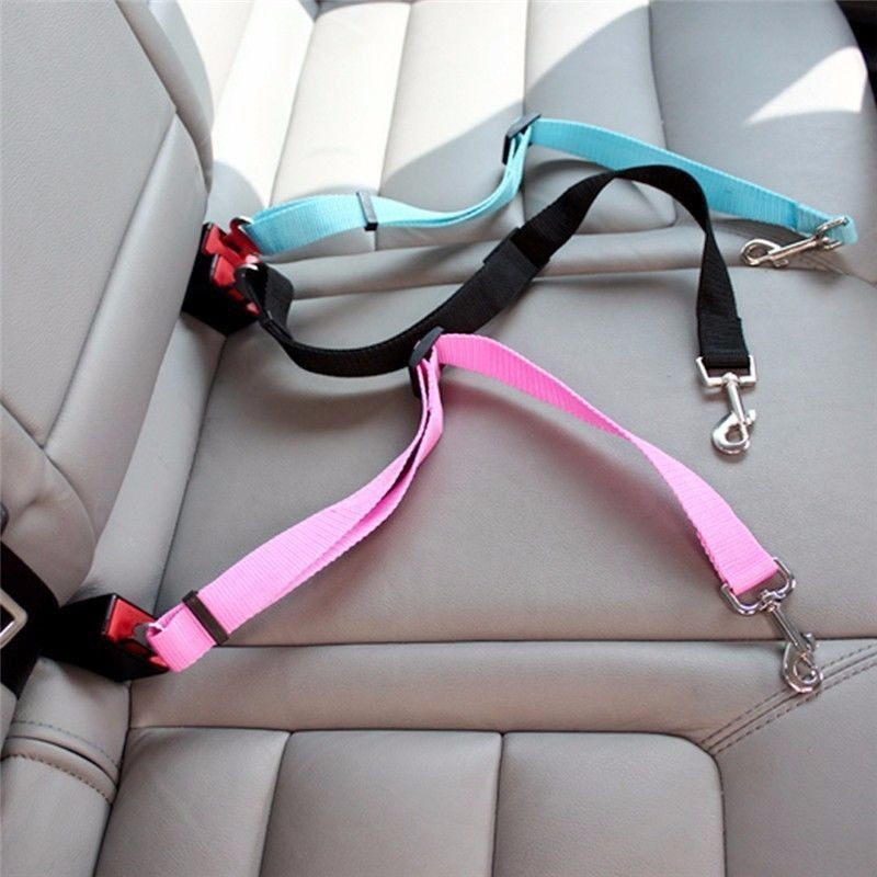 Travel Accessories For Dogs - Kedi Araba Emniyet Kemeri Köpek Aksesuarları