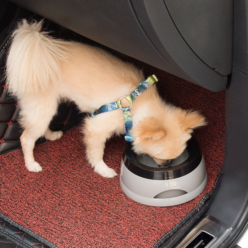 Evcil Hayvan Köpek Kaseleri Yü - Travel Accessories For Dogs incelemesi ve fiyatı