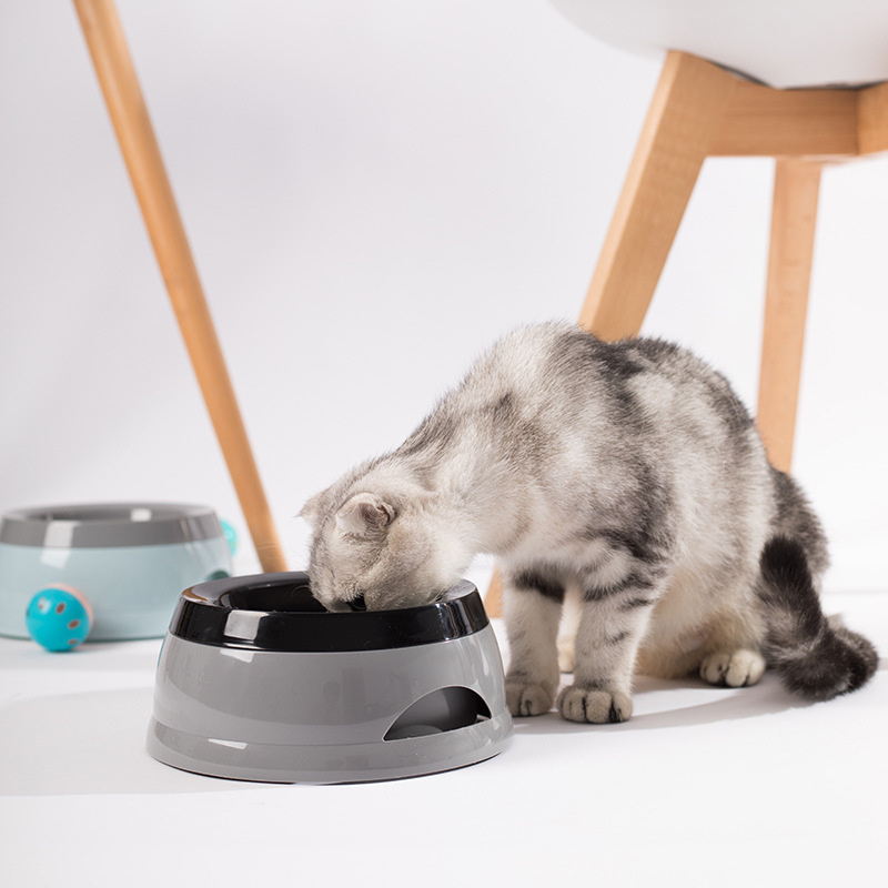 Evcil Hayvan Köpek Kaseleri Yü - Travel Accessories For Dogs incelemesi ve fiyatı