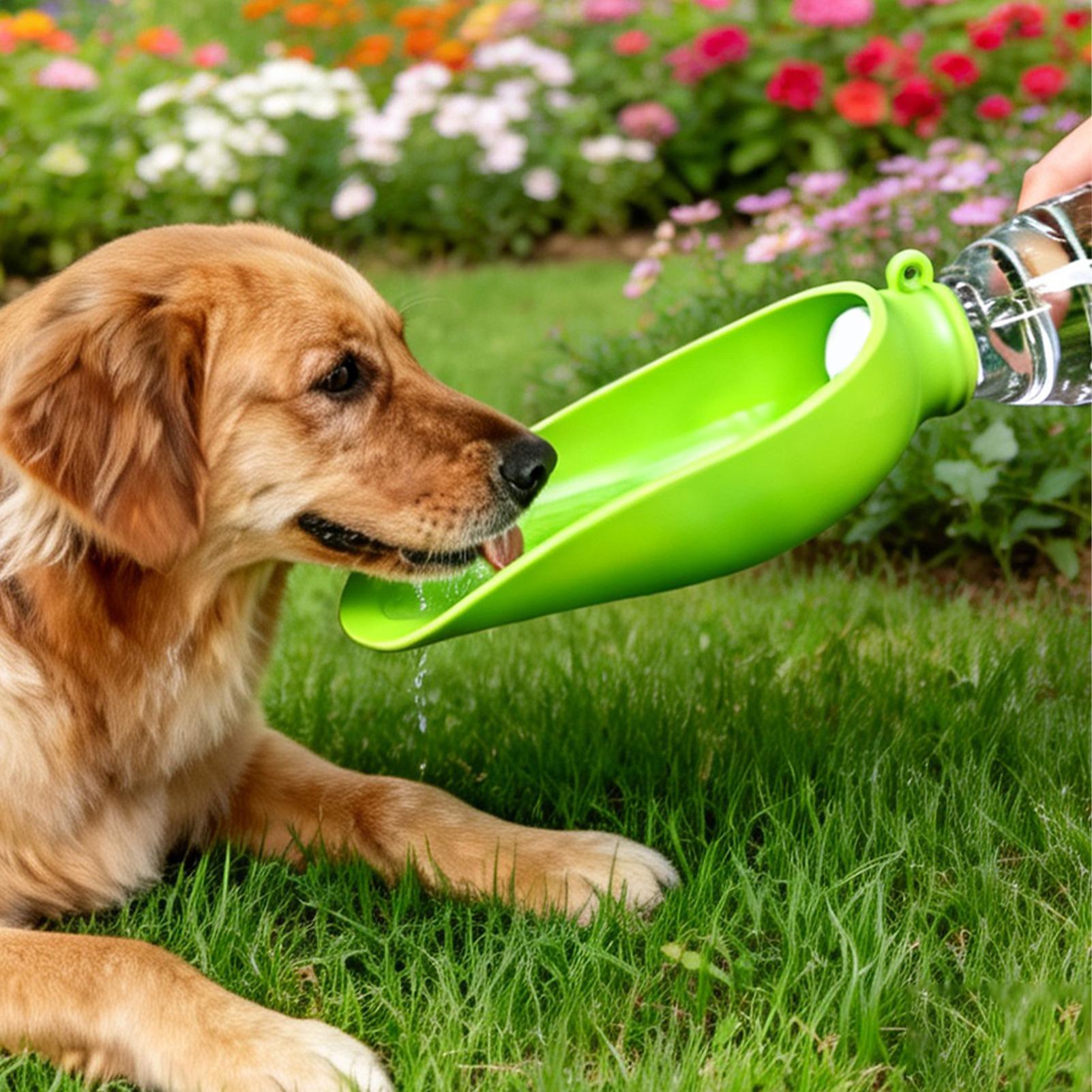 Köpek Seyahat Su Kabı Silikon  - Travel Accessories For Dogs incelemesi ve fiyatı